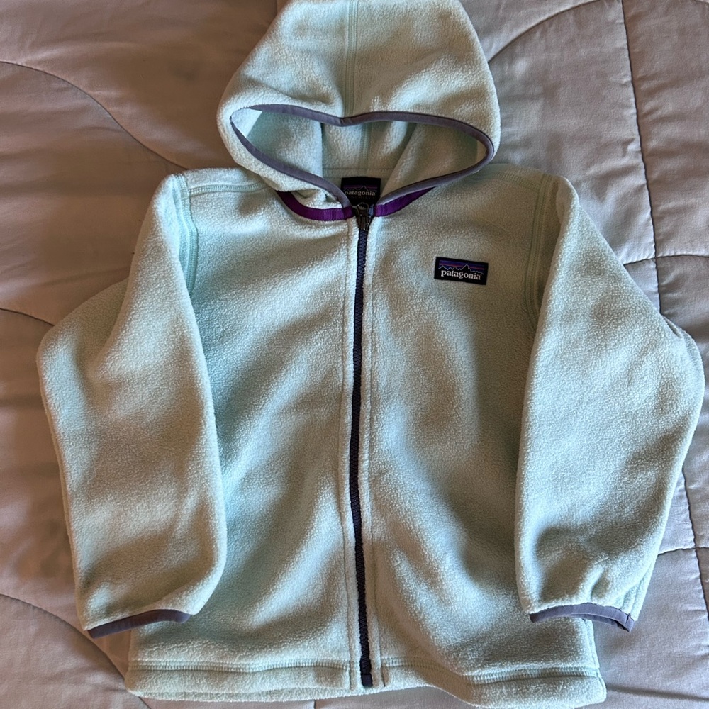 Patagonia Blue Fleece Hoodie Sweatshirt